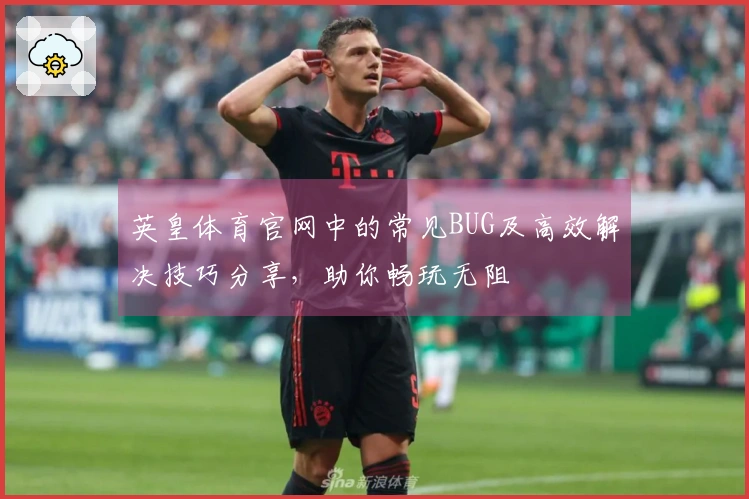 英皇体育官网中的常见BUG及高效解决技巧分享，助你畅玩无阻
