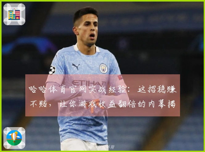 哈哈体育官网实战经验：这招稳赚不赔，让你游戏收益翻倍的内幕揭秘