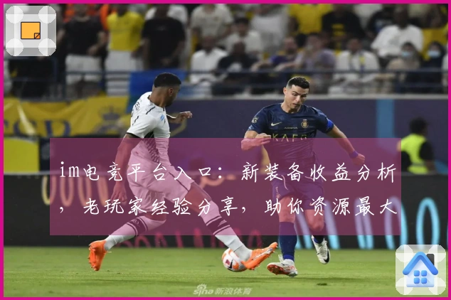 im电竞平台入口：新装备收益分析，老玩家经验分享，助你资源最大化！